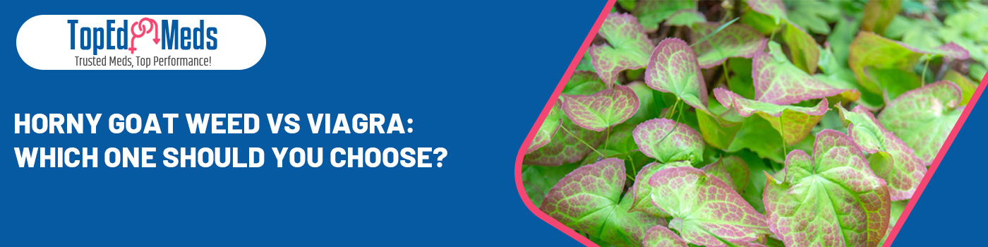 Horny Goat Weed vs Viagra: Which One Should You Choose? 