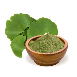 Ginkgo Biloba